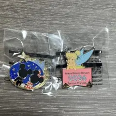 ディズニー　ピンバッチ・チャーム