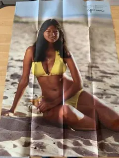 アグネスラムポスター