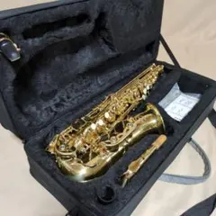 美品 サックス SELVA 管楽器 ケース付 彫刻 セット アルトサックス