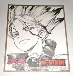 Dr.STONE 石神千空 ポスター ポストカード バラ売り可能 - メルカリ