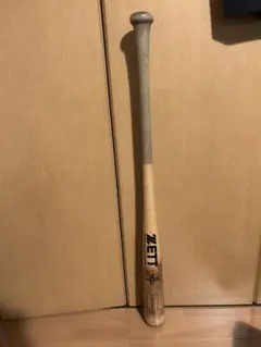 Item thumbnail for item 41143a36-5f18-47d3-8478-3d97b260a5e1