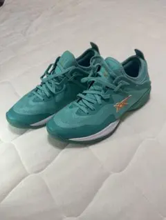 asics glide nova ff 3 《ユニセックス》　海外限定カラー