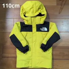 THE NORTH FACE :GORE-TEX ダウンコート 110cm