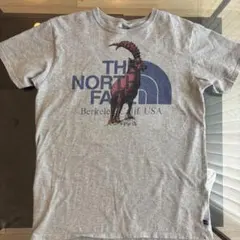 【希少なパープルレーベル】THE NORTH FACE グレー Tシャツ