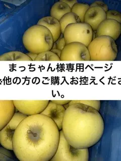 まっちゃん様専用　シナノゴールド　生食用　家庭用　約5キロ