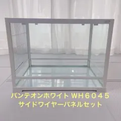 mayu パンテオン 6045 付属品あり メタルサイレント mayu様専用 パンテオン 6045 付属品あり メタルサイレント - メルカリ