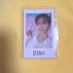 SEVENTEEN インスタントフォト ディノ DINO