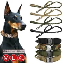 Item thumbnail for item 675ecf41-5ed6-46bb-8b2e-8890ca123a1a