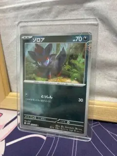 モ*読様 ポケモンカード ゾロア コロコロイチバン2011年 付録 - メルカリ