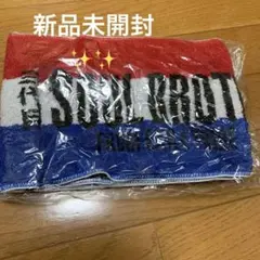 三代目 J Soul Brothers マフラータオル