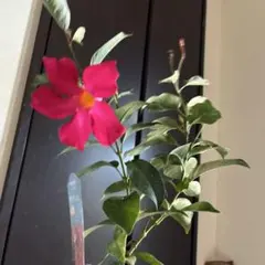 BabyBlue プロフ必読願います。様 リクエスト 3点 まとめ商品