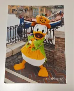 ディズニーフォト　ハロウィン2025 ドナルドダック