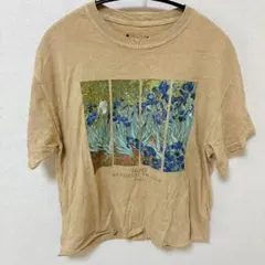 Tシャツ M プリントT ショート丈 クルーネック バックプリント