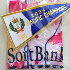 Item thumbnail for item c28d6f73-f934-4591-9fd9-c0ff6e910dab