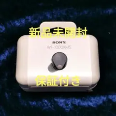 新品未開封 ソニー ワイヤレスイヤホン WF-1000XM5 ブラック