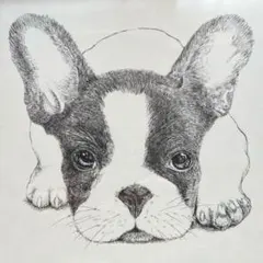 フレンチブルドッグ 犬　ペン画 手描き　モノクロ