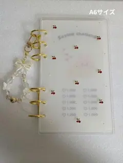 アクリルバインダー レジン韓国saving　セービング 貯金 ・チェリー