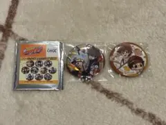 家庭教師ヒットマンREBORN 缶バッジ 沢田綱吉 リボーン