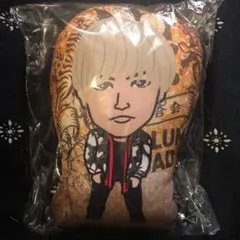 コブラ　クッション　岩田剛典