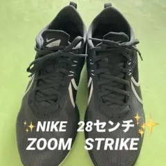 NIKE ZOOM STRIKE スニーカー　28cm AO1912