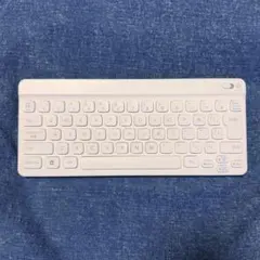 ポケモン タイピングDS・Nintendo ワイヤレスキーボード