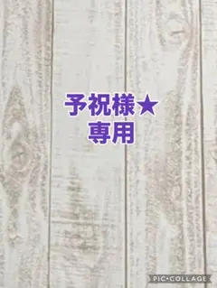 春夏用バードテント　普通サイズのサムネイル
