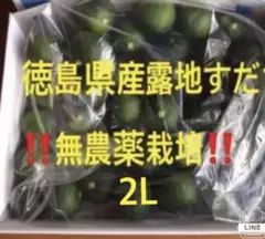 徳島県産 露地すだち 2L １キロ以上入り無農薬栽培 朝収穫発送のサムネイル