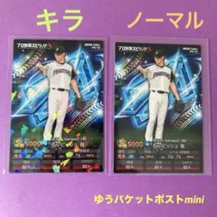 ゆ*ち様 シークレット　キラ＆ノーマル　ダルビッシュ 有 プロ野球カード　プロ野