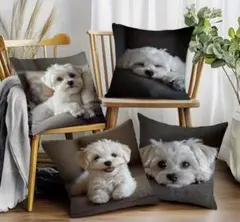 Item thumbnail for item f2e81619-a486-4118-9a11-58e83a4db1d6