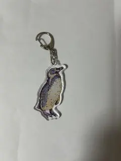 átoa フンボルトペンギン アクリルキーホルダー