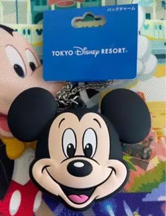 ディズニー　バッグチャーム　チャーム　シリコン　小銭入れ　ミッキー　コインケース