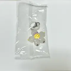 truz めじるしアクセサリー romy ロミー ジフン 第1弾treasure