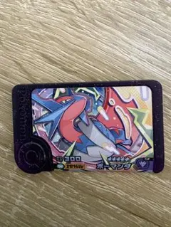 ポケモンフレンダ　スーパトレジャー　ボーマンダ