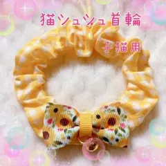 シュシュ首輪 子猫　グログランリボン　⑤-E2