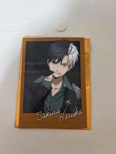 WINDBREAKER 桜遥 インスタントフォト風カード