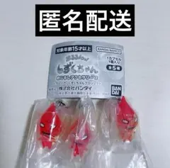 ぷるるんっ！しずくちゃん めじるしアクセサリー2 はなぢ君3点セット