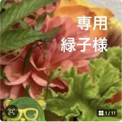 専用ページ 緑子様②