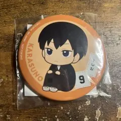 ハイキュー　るかっぷ特典　影山飛雄　缶バッジ