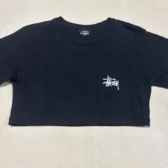 Stüssy クロップドTシャツ vintage