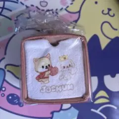 JOCHUM キャラドロワー まめちぃ RURUのサムネイル