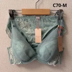 トリンプ　アモスタイル　チャーミングラマー　ブラ＆ショーツ　C70-M