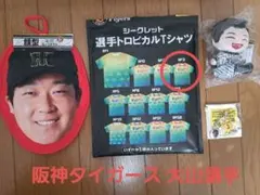 Item thumbnail for item 5a553c53-27c6-4430-91d9-b63fa7ed3b6b