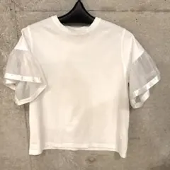 ANOTHER S オーガンジーフリル袖Tシャツ