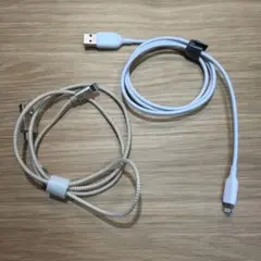 Item thumbnail for item ede9c828-43a5-4b2f-a05d-2c59d479eca1