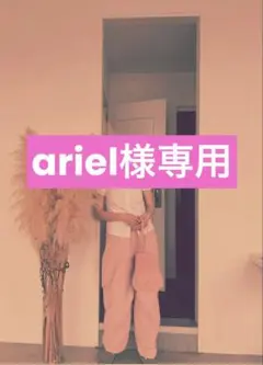 ariel様専用ページ