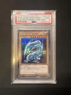 2026年最新】ブルーアイズ ステンレス psa10の人気アイテム - メルカリ