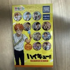 ☆新品☆カラパレ ハイキュー! より道 缶バッジ 全10種 コンプリート