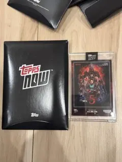 Item thumbnail for item e0b0b267-a384-40e2-8e99-a196836be78b