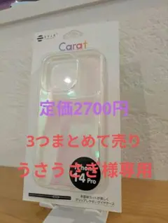 うさうさぎ様専用のサムネイル