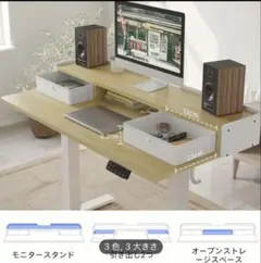 大阪市内配送無料 セットでお得 FLEXISPOTとPalmworkチェア 美品